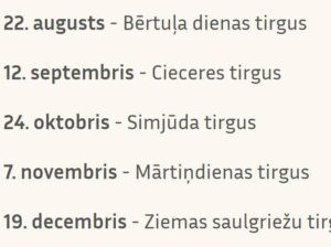 Bērtuļa dienas tirgus