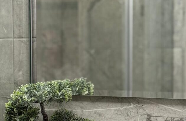 Laipa SPA apartamenti Brocēnos