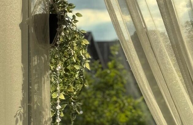 Laipa SPA apartamenti Brocēnos