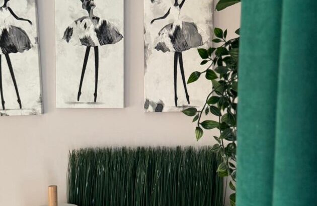 Laipa SPA apartamenti Brocēnos