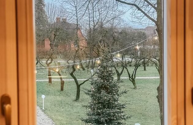 Laipa SPA viesu istaba PEONIJA