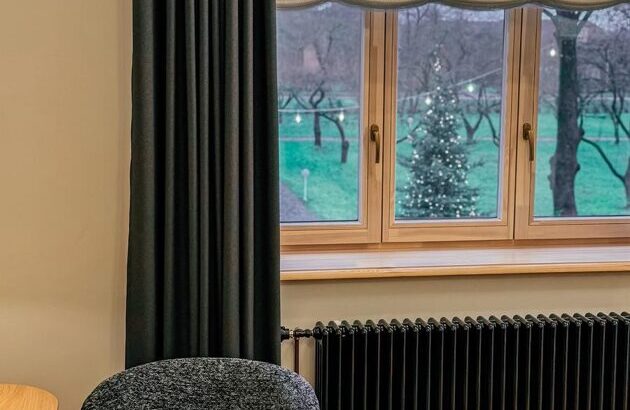 Laipa SPA viesu istaba PEONIJA