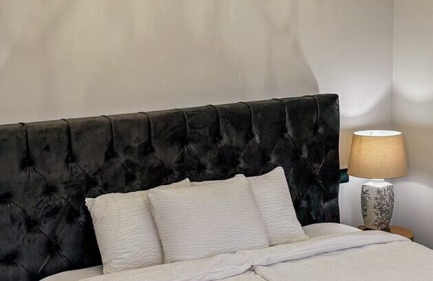 Laipa SPA viesu istaba PEONIJA