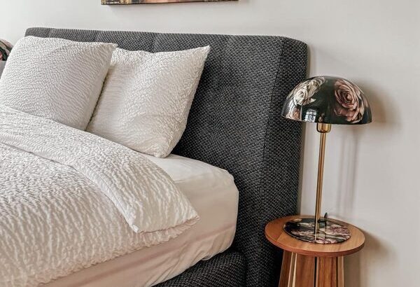 Laipa SPA viesu istaba SAMTENE