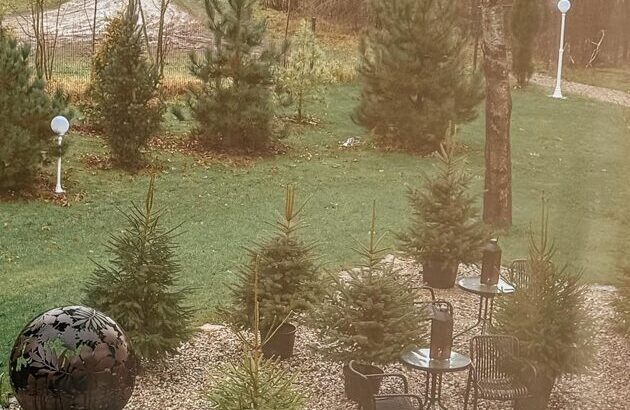 Laipa SPA viesu istaba SAMTENE