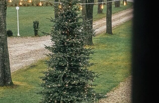 Laipa SPA viesu istaba SAMTENE