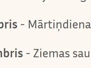 Mārtiņdienas tirgus