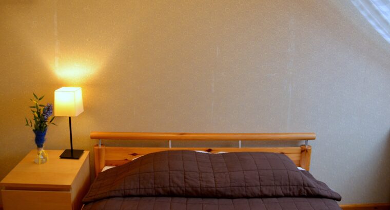 Viesnīca “Demians”